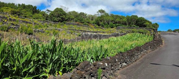  قطعة أرض في Madalena, Portugal 8527متر مربع رقم 336199 2