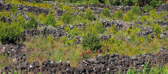  قطعة أرض في Madalena, Portugal 8527متر مربع رقم 336199 12