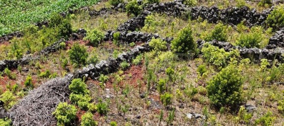  قطعة أرض في Madalena, Portugal 8527متر مربع رقم 336199 10