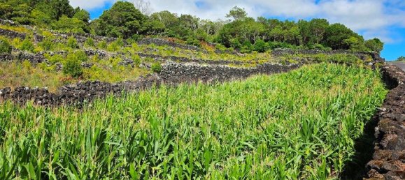  قطعة أرض في Madalena, Portugal 8527متر مربع رقم 336199 4