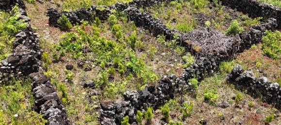  قطعة أرض في Madalena, Portugal 8527متر مربع رقم 336199 14