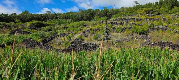  قطعة أرض في Madalena, Portugal 8527متر مربع رقم 336199 13