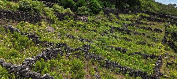  قطعة أرض في Madalena, Portugal 8527متر مربع رقم 336199 7