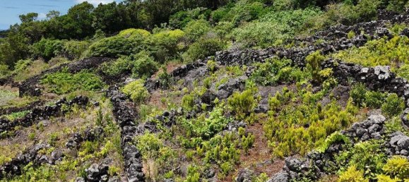  قطعة أرض في Madalena, Portugal 8527متر مربع رقم 336199 9