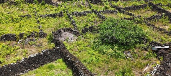  قطعة أرض في Madalena, Portugal 8527متر مربع رقم 336199 3