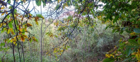 Casa de 13 habitaciónes en Milo, Italy No. 235246 12