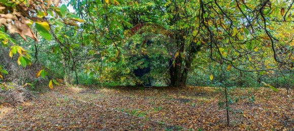 Casa de 13 habitaciónes en Milo, Italy No. 235246 17