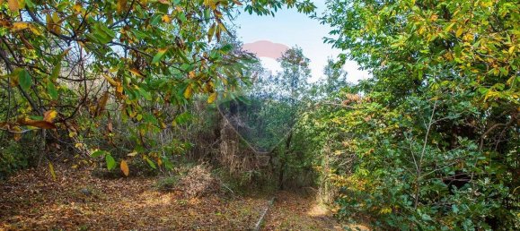 Casa de 13 habitaciónes en Milo, Italy No. 235246 10