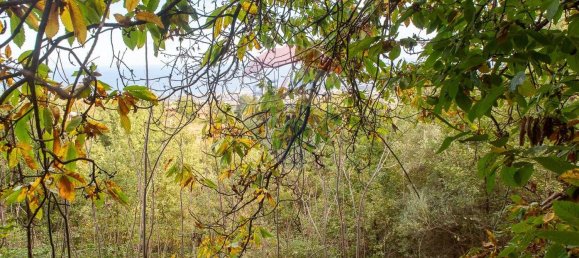 Casa de 13 habitaciónes en Milo, Italy No. 235246 13