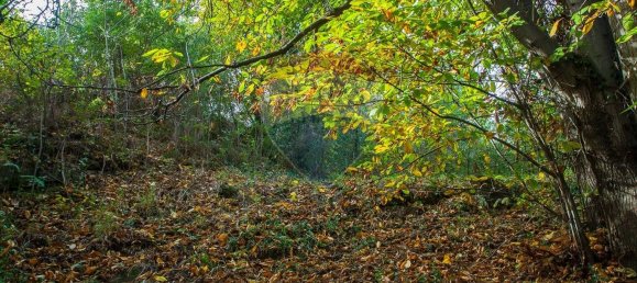 Casa de 13 habitaciónes en Milo, Italy No. 235246 11