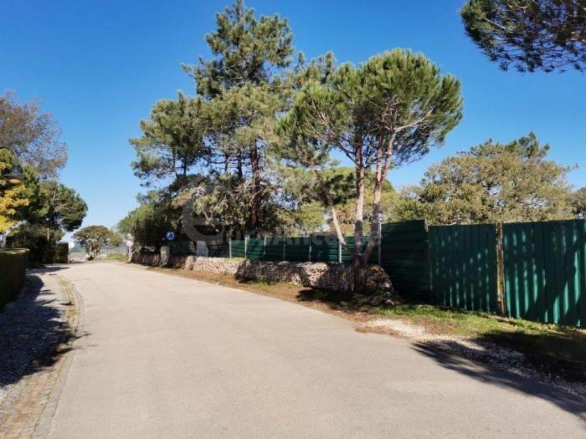  Land in Vila do Bispo, Portugal No. 9150