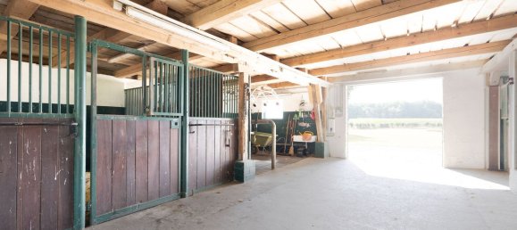 8 Schlafzimmer Bauernhof in Wesel, Germany, Nr. 334462 25