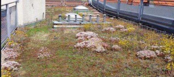 1 غرف نوم شقة في Lichterfelde, Germany رقم 113583 29