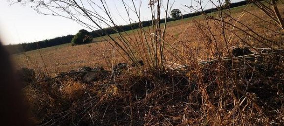 Terreno en Sorso, Italy 10000 m² No. 273546 6