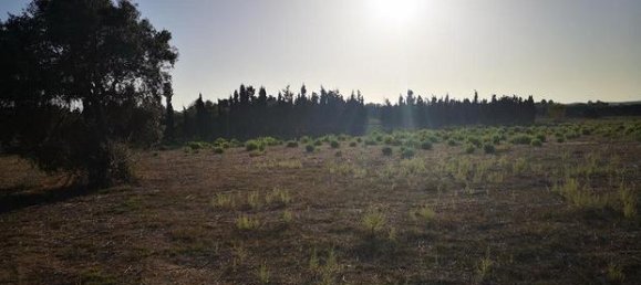 Terreno en Sorso, Italy 10000 m² No. 273546 4