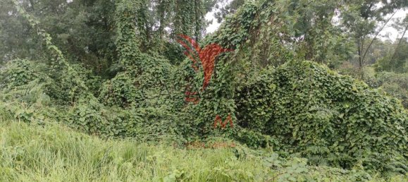  قطعة أرض في Quarteira, Portugal رقم 190582 18