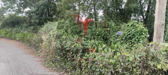  قطعة أرض في Quarteira, Portugal رقم 190582 17