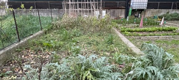 5 rooms Apartment in Pesaro, Italy No. 171184 7