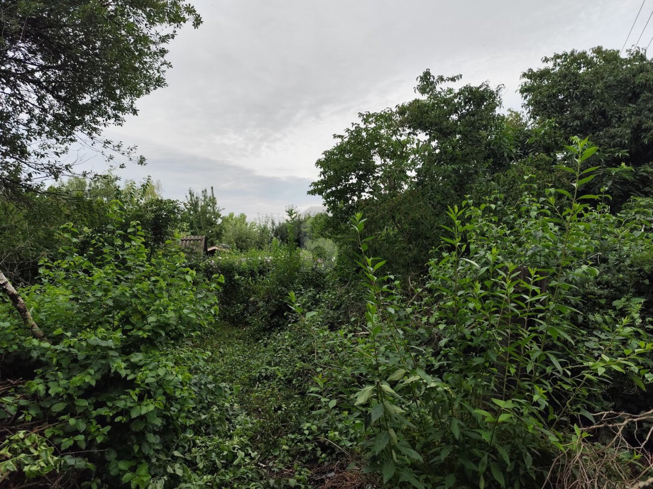 Terrain à Leobersdorf, Austria 450m² No. 201682