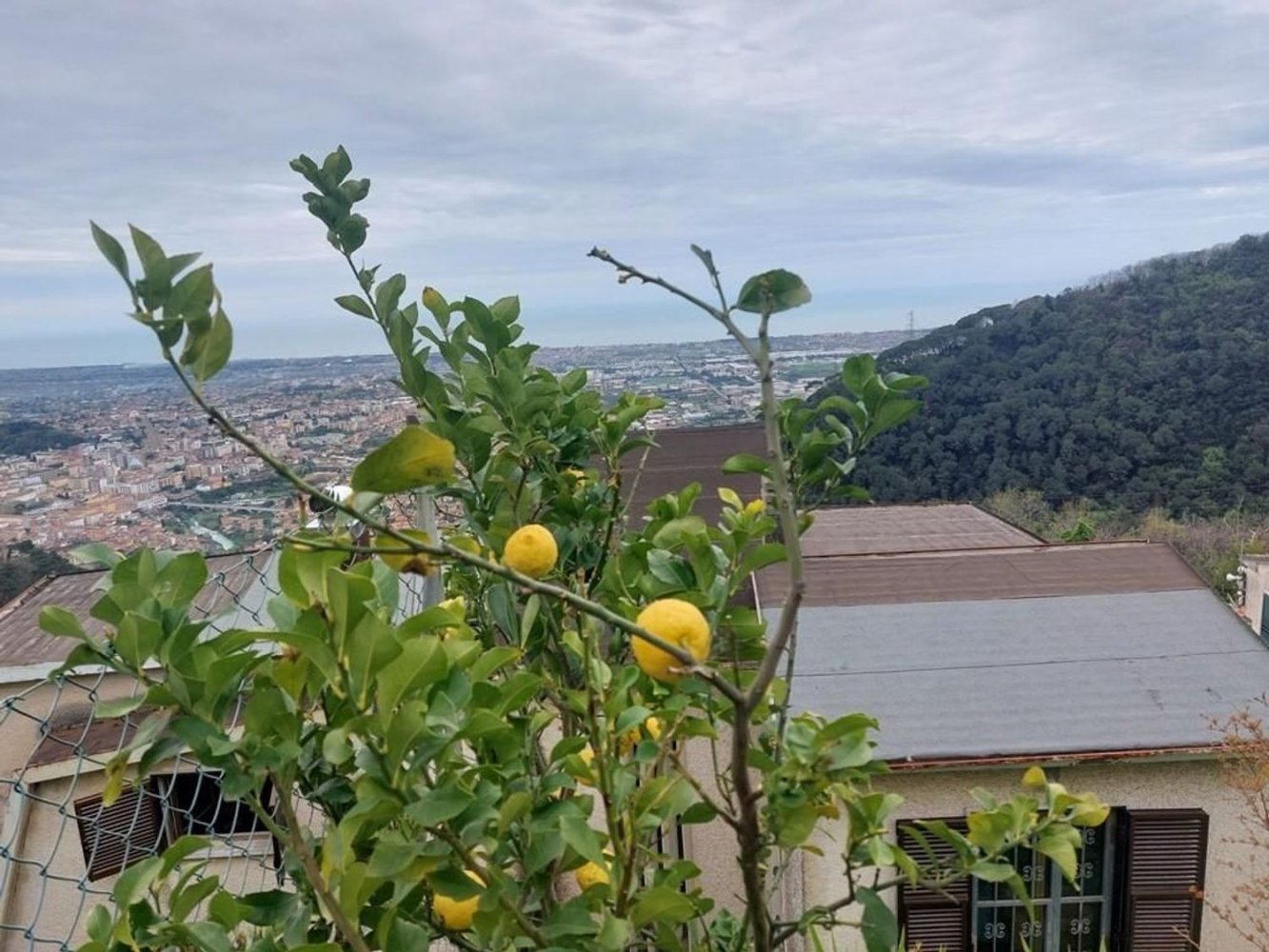 6 bedrooms Villa in Massa, Italy No. 357054