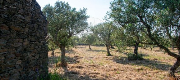 Grundstück in Sao Joao da Pesqueira, Portugal, Nr. 190394 7