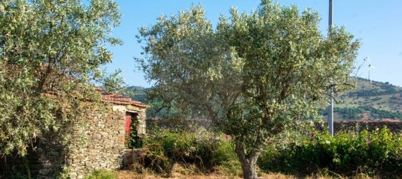 Grundstück in Sao Joao da Pesqueira, Portugal, Nr. 190394 4