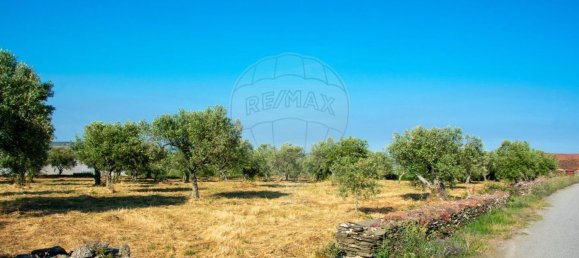 Grundstück in Sao Joao da Pesqueira, Portugal, Nr. 190394 8