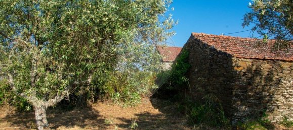 Grundstück in Sao Joao da Pesqueira, Portugal, Nr. 190394 5