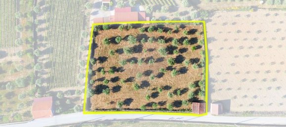 Grundstück in Sao Joao da Pesqueira, Portugal, Nr. 190394 11