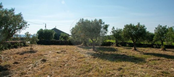 Grundstück in Sao Joao da Pesqueira, Portugal, Nr. 190394 3