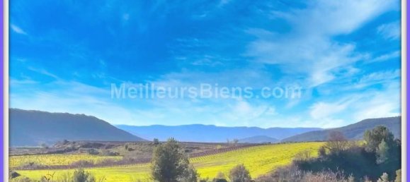 9 bedrooms Villa in Occitanie, France No. 339010 3