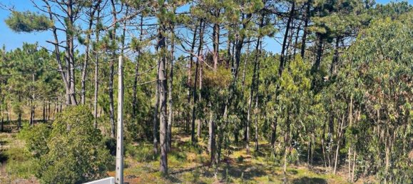 3 bedrooms House in Caldas da Rainha, Portugal No. 121072 42