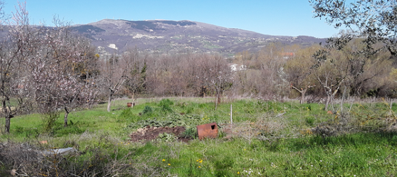 10000m² Land in Cantalupo nel Sannio, Italy No. 251324 2