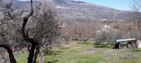 10000m² Land in Cantalupo nel Sannio, Italy No. 251324 6