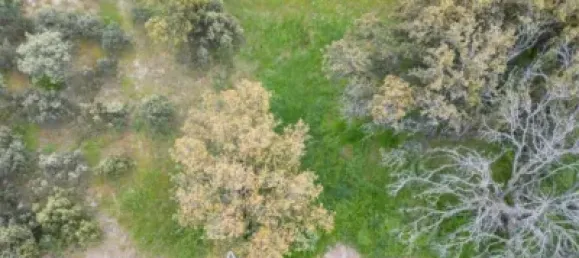 Terrain à Maello, Spain 2065m² No. 138772 6