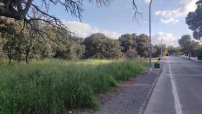 Terrain à Maello, Spain 2065m² No. 138772