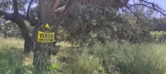 Terrain à Maello, Spain 2065m² No. 138772 2