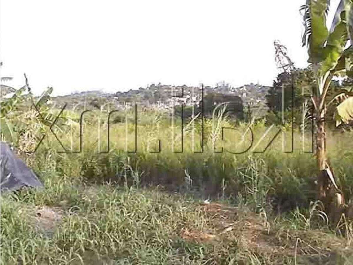  قطعة أرض في Veracruz, Mexico رقم 207187