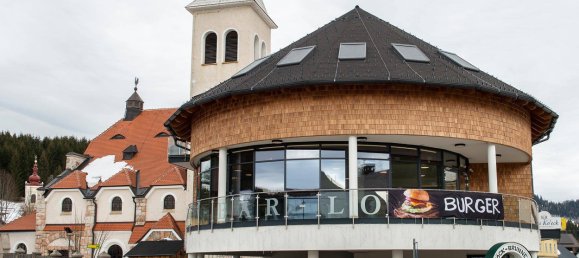 450m² Commercial property in Mitterbach am Erlaufsee, Austria No. 222431 9