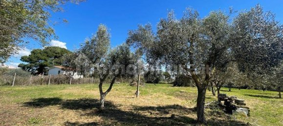 2000m² Land in Ladispoli, Italy No. 221314 19