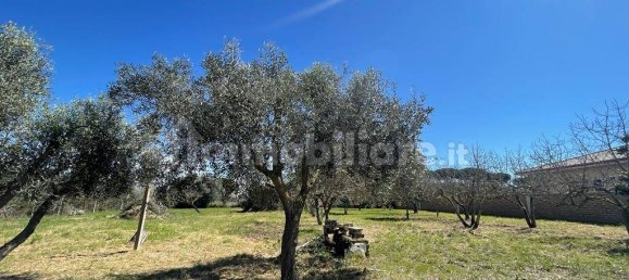 2000m² Land in Ladispoli, Italy No. 221314 16