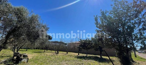 2000m² Land in Ladispoli, Italy No. 221314 12