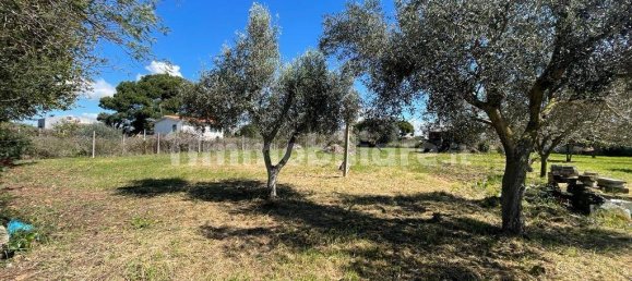 2000m² Land in Ladispoli, Italy No. 221314 4