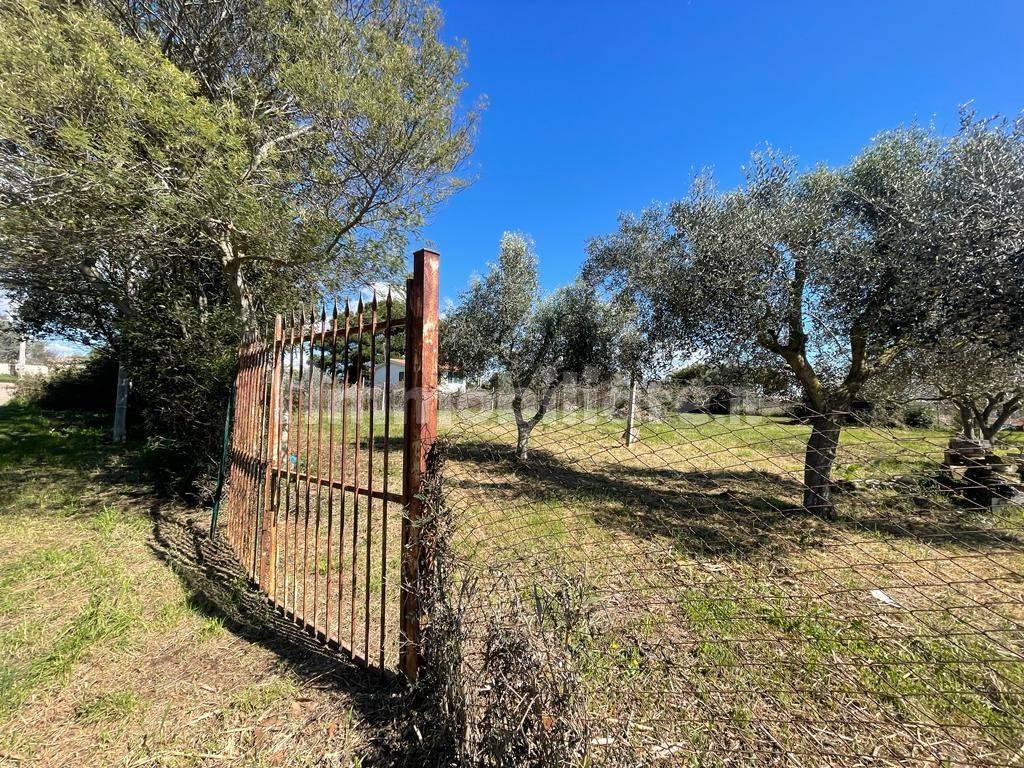2000m² Land in Ladispoli, Italy No. 221314