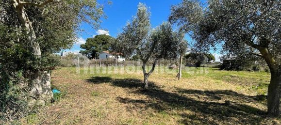 2000m² Land in Ladispoli, Italy No. 221314 3
