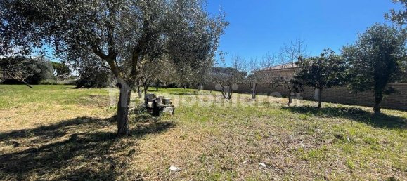 2000m² Land in Ladispoli, Italy No. 221314 8