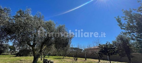 2000m² Land in Ladispoli, Italy No. 221314 11