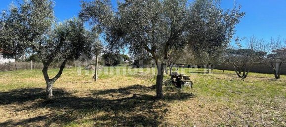 2000m² Land in Ladispoli, Italy No. 221314 7
