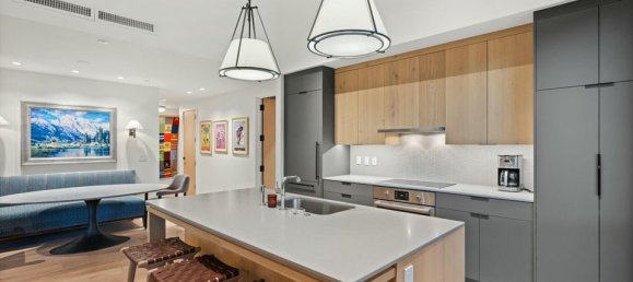 3 bedrooms Cafe / restaurant in Snowmass Village, USA No. 560246 11