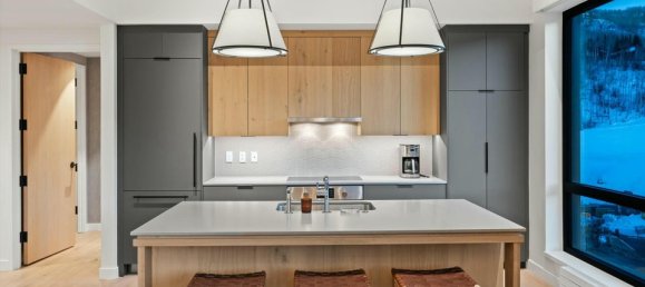 3 bedrooms Cafe / restaurant in Snowmass Village, USA No. 560246 7